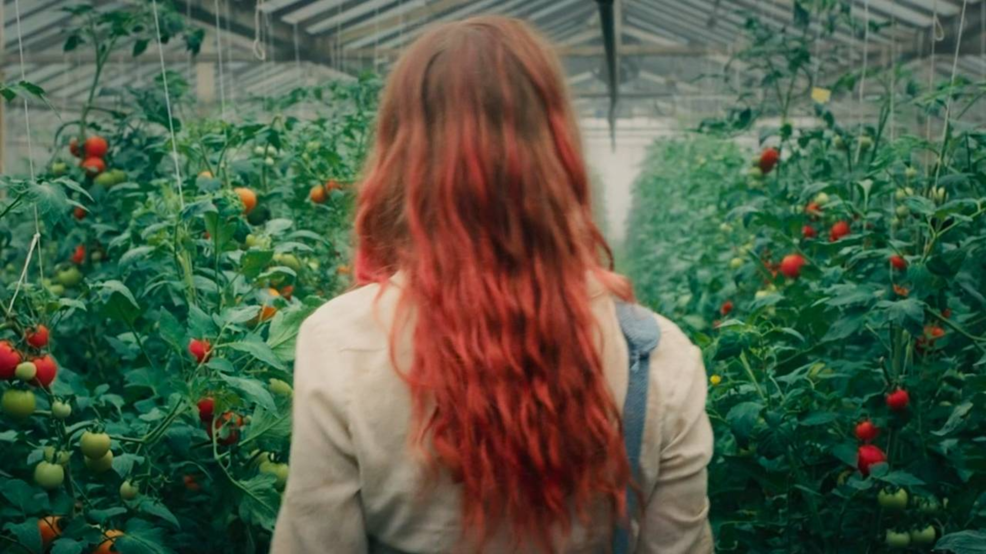 末世后少女发现奇怪农场,却不知,里面的东西吃下后会变成怪物